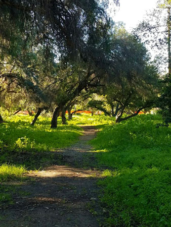 Fullerton Loop Trail  Discover La Mirada California