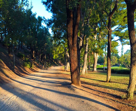 Fullerton Loop Trail  Discover La Mirada California