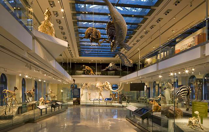 museum of natural history los angeles