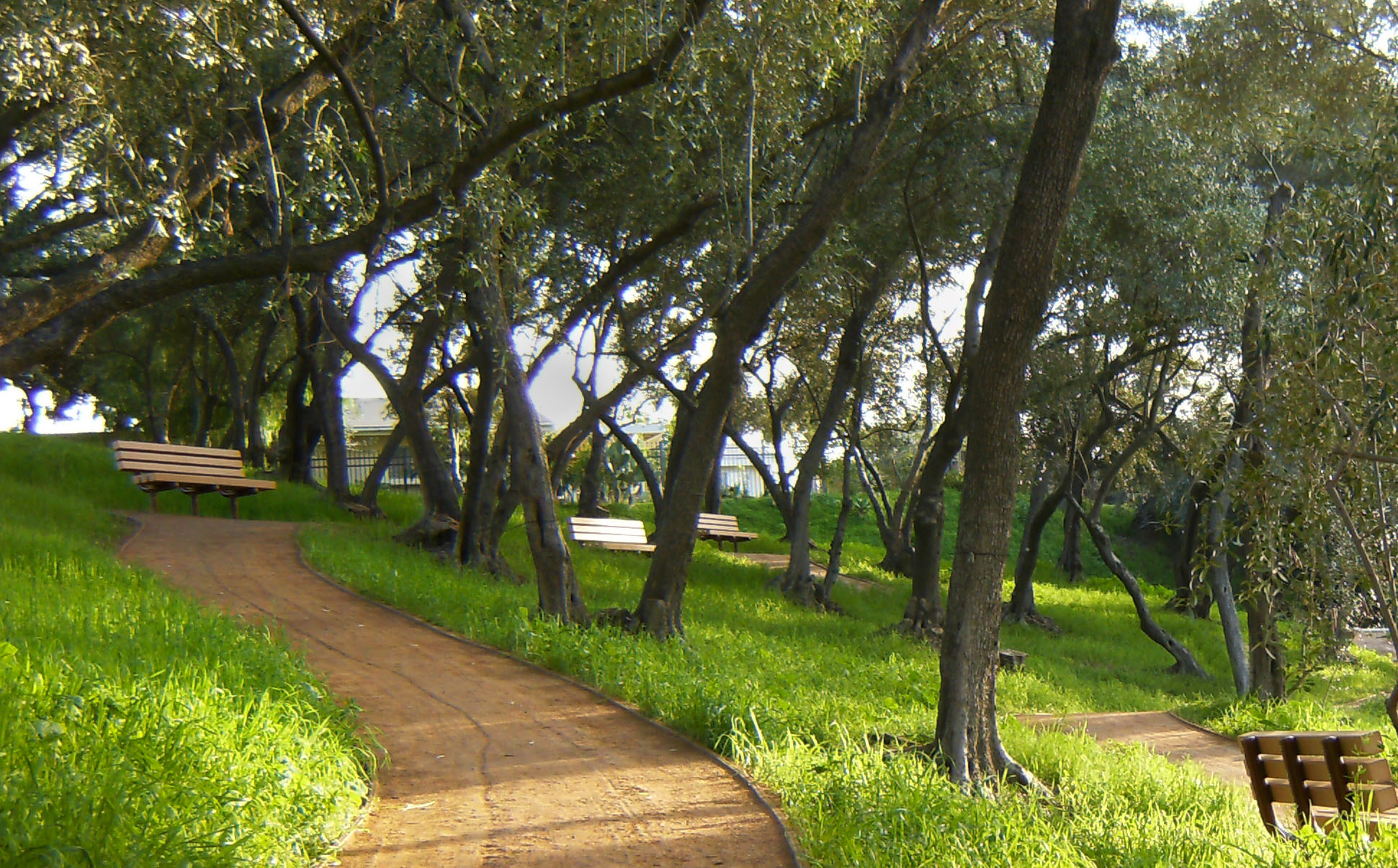 Biola University Olive Grove La Mirada Los Angeles Times