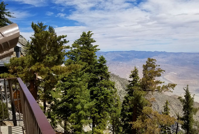 Palm Springs Aerial Tram 5