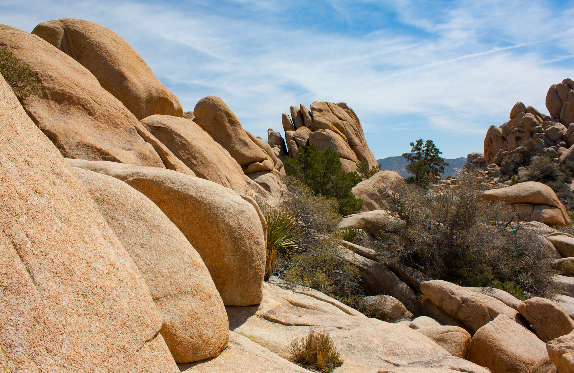 places to visit joshua tree national park