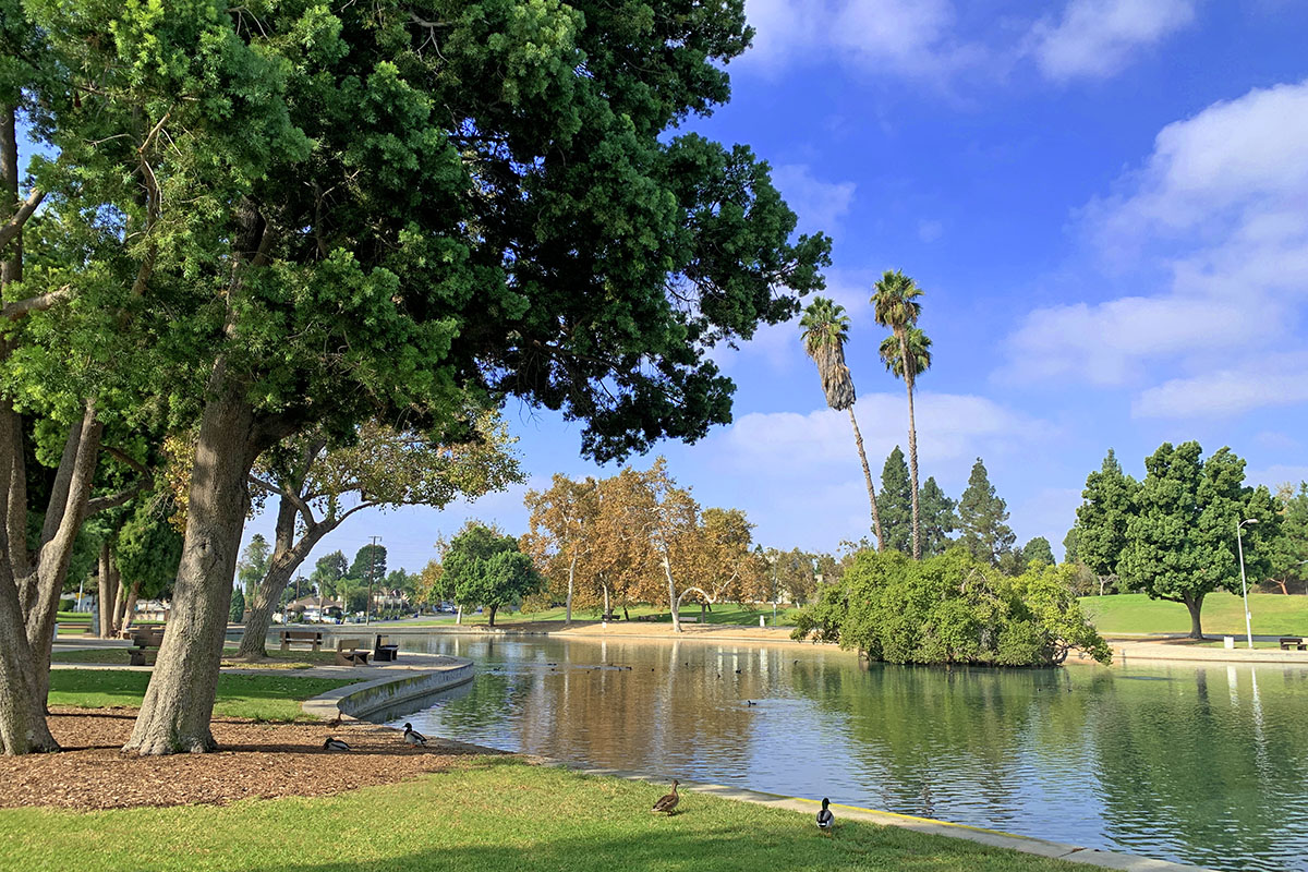 La Mirada California Tree City USA Arbor Day Foundation