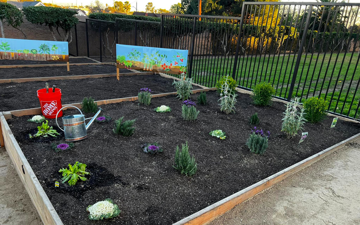 La Mirada Community Gardens 4